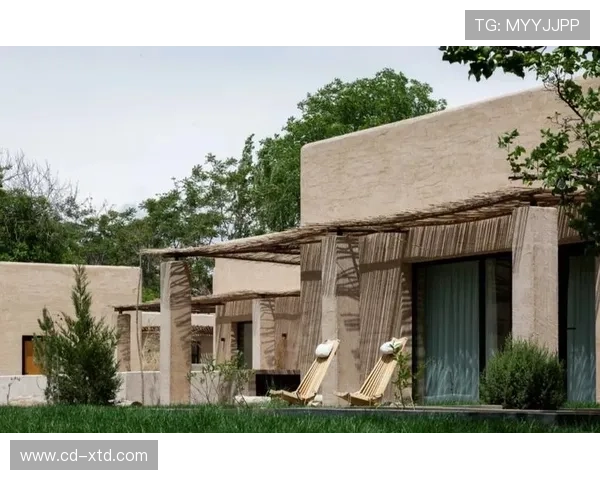 坦巴克蒂中卫风格