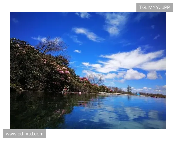 刘国梁一转身就能成大富豪，这身价普通人想都不敢梦啊？