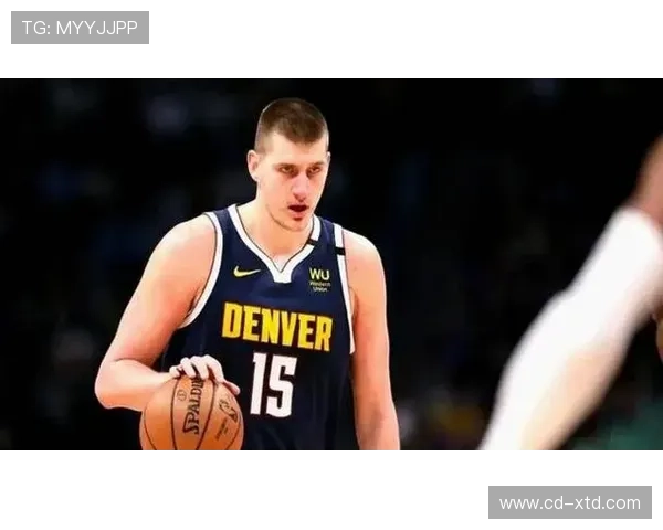 兰德尔背身单打撕裂约基奇式护筐效率回升