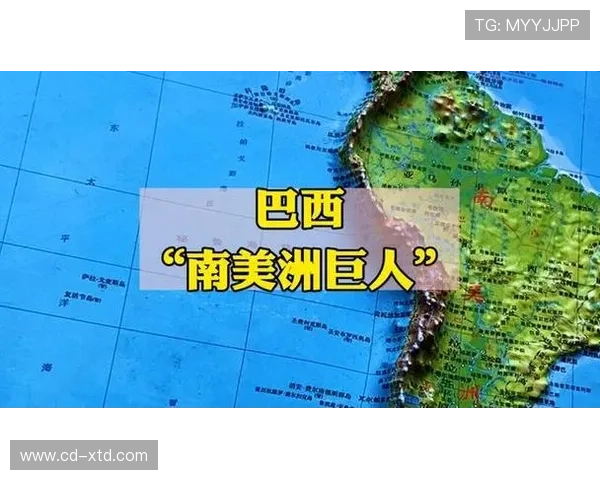 巴西最有可能在哪轮遭遇危机 巴西最有可能在哪轮遭遇危机
